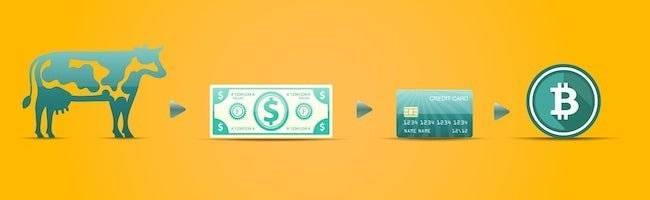 ethereum or bitcoin 
