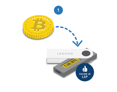 investir bitcoin vs ethereum 
